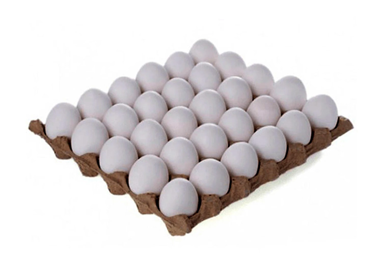 Cartera de Huevos del 21 pz