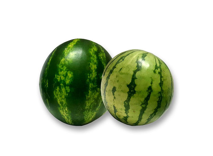 Sandia Personal kg