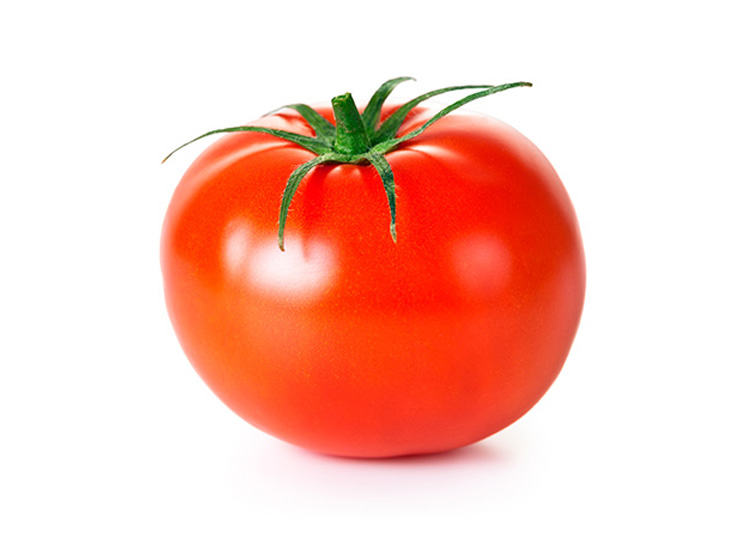 Tomate bola kg