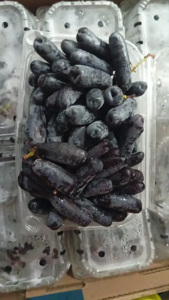 Uva Negra Caja
