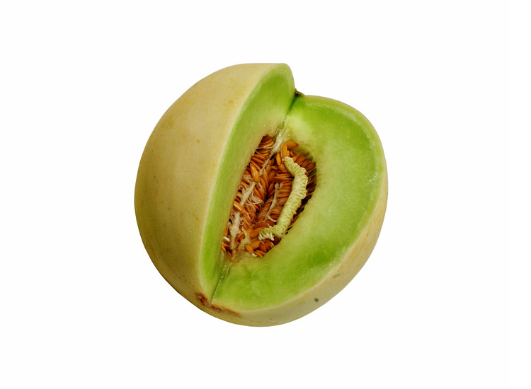 Melon honeydew