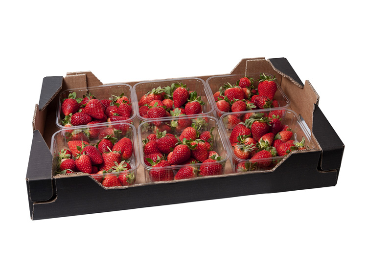 Fresa caja