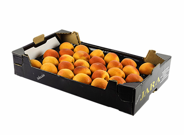 Chabacano caja