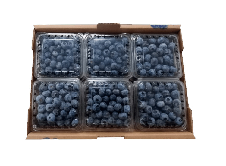 Blue Berry  caja grande 