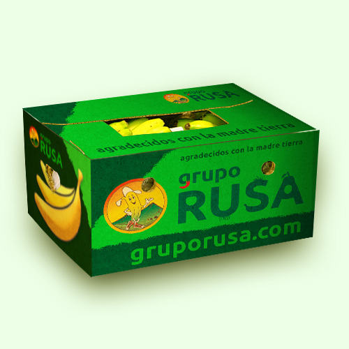 Platano Carton 