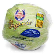 Lechuga Romana pz