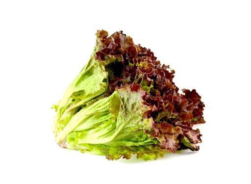 Lechuga Sangria pz