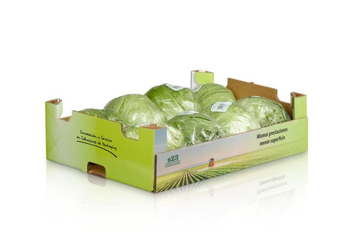 Combo Lechuga  italiana
