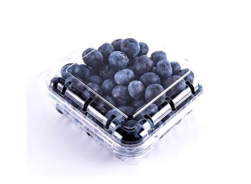 Blueberry pz