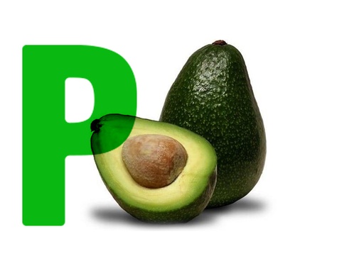 Aguacate Primera kg